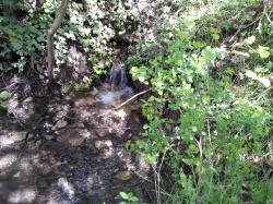 20130519-164927.jpg