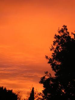 ciel-matin-d-automne-004.jpg