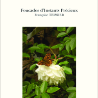 Foucades d'Instants Précieux