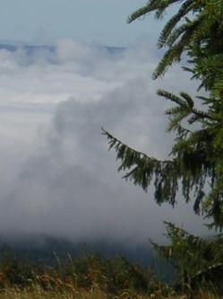 vallee-brouillard-033.jpg